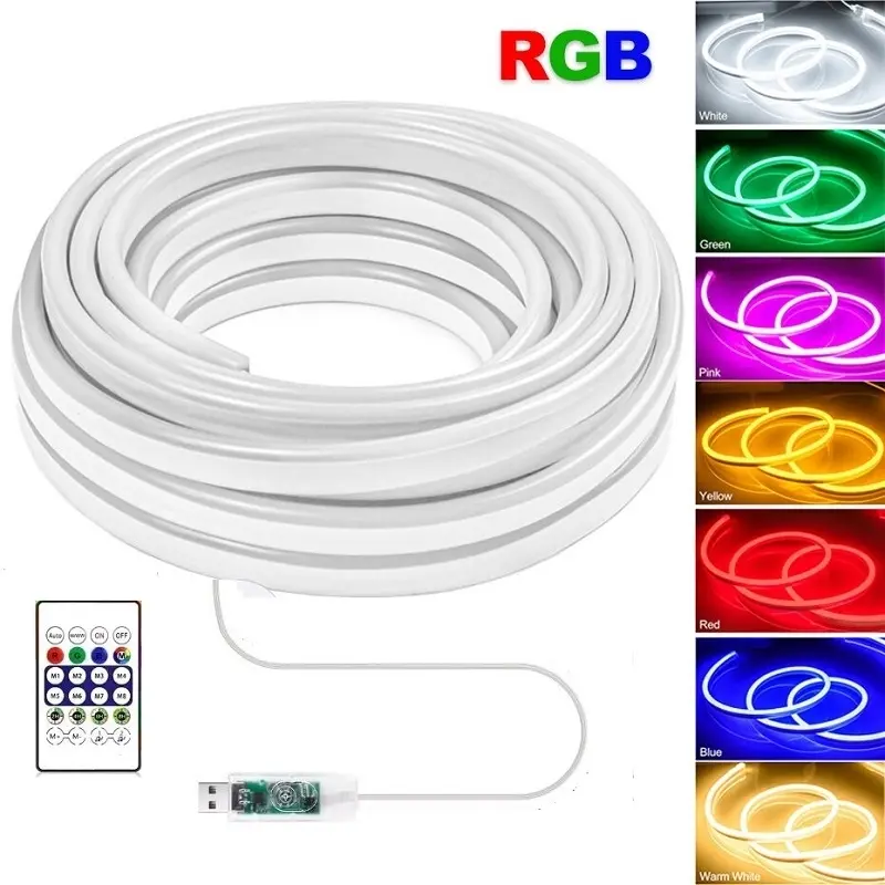 Bande LED Néon 5m