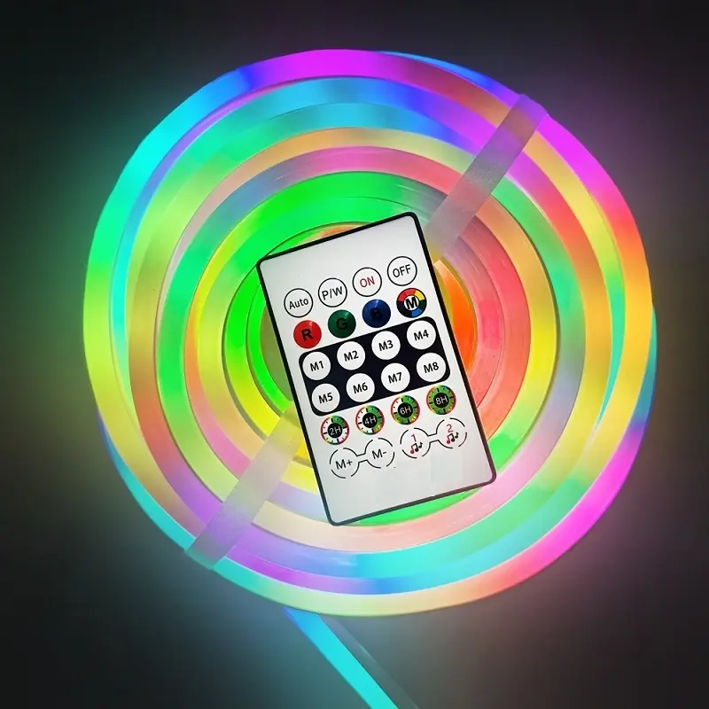Bande LED Néon 5m